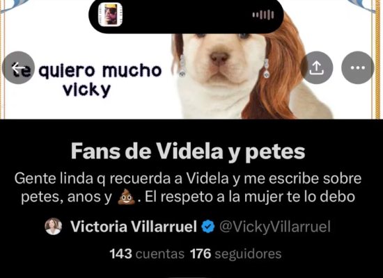 La lista de X que creó Victoria Villarruel para contestarles a quienes la critican en redes sociales